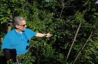 Note the news article says 7 trees but it should say 7 thousand.