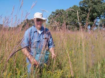 There are many volunteer opportuniteis like this volunteer collexting seeds.