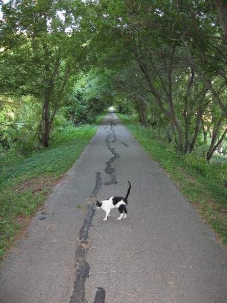 Pass along this site and let us know about other trail related sites.